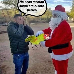 Meet your Posher, Freddy